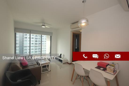 A Treasure Trove thumbnail photo